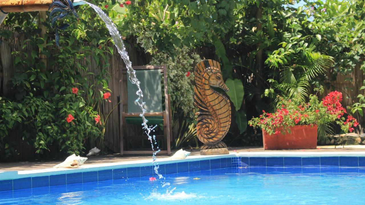 La Natura Hostel & Pool パロミノ エクステリア 写真