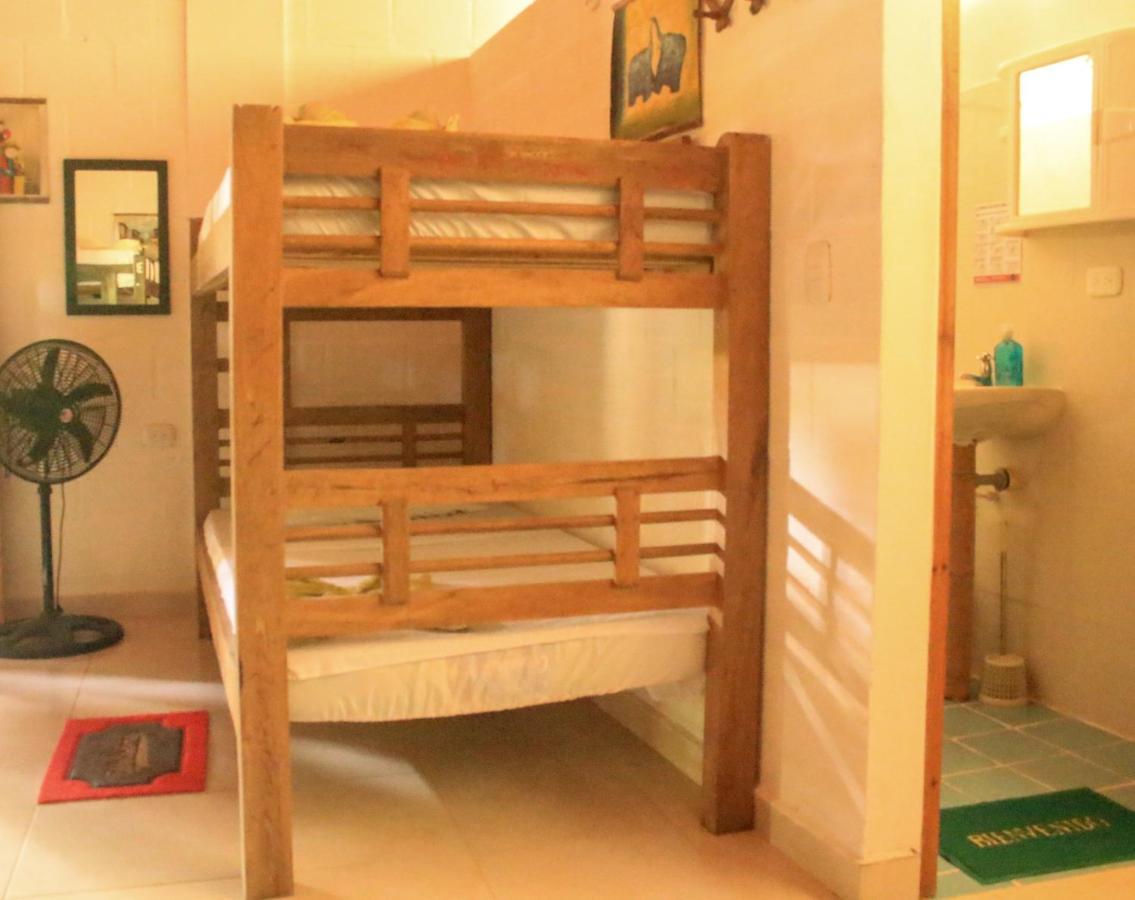 La Natura Hostel & Pool パロミノ エクステリア 写真