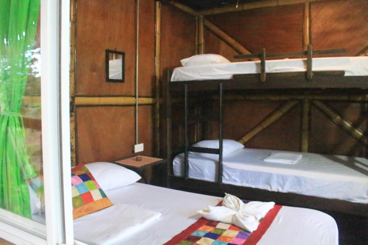 La Natura Hostel & Pool パロミノ エクステリア 写真