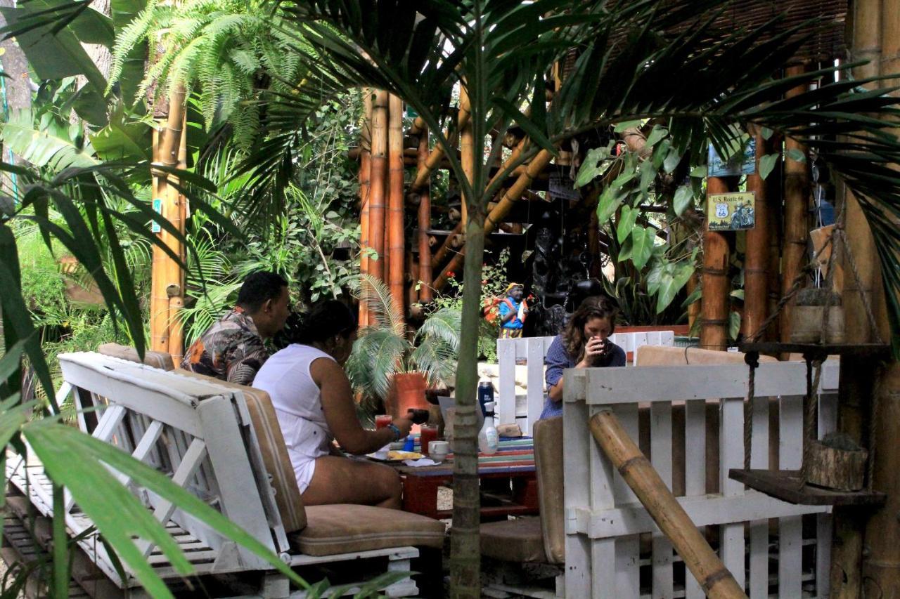 La Natura Hostel & Pool パロミノ エクステリア 写真