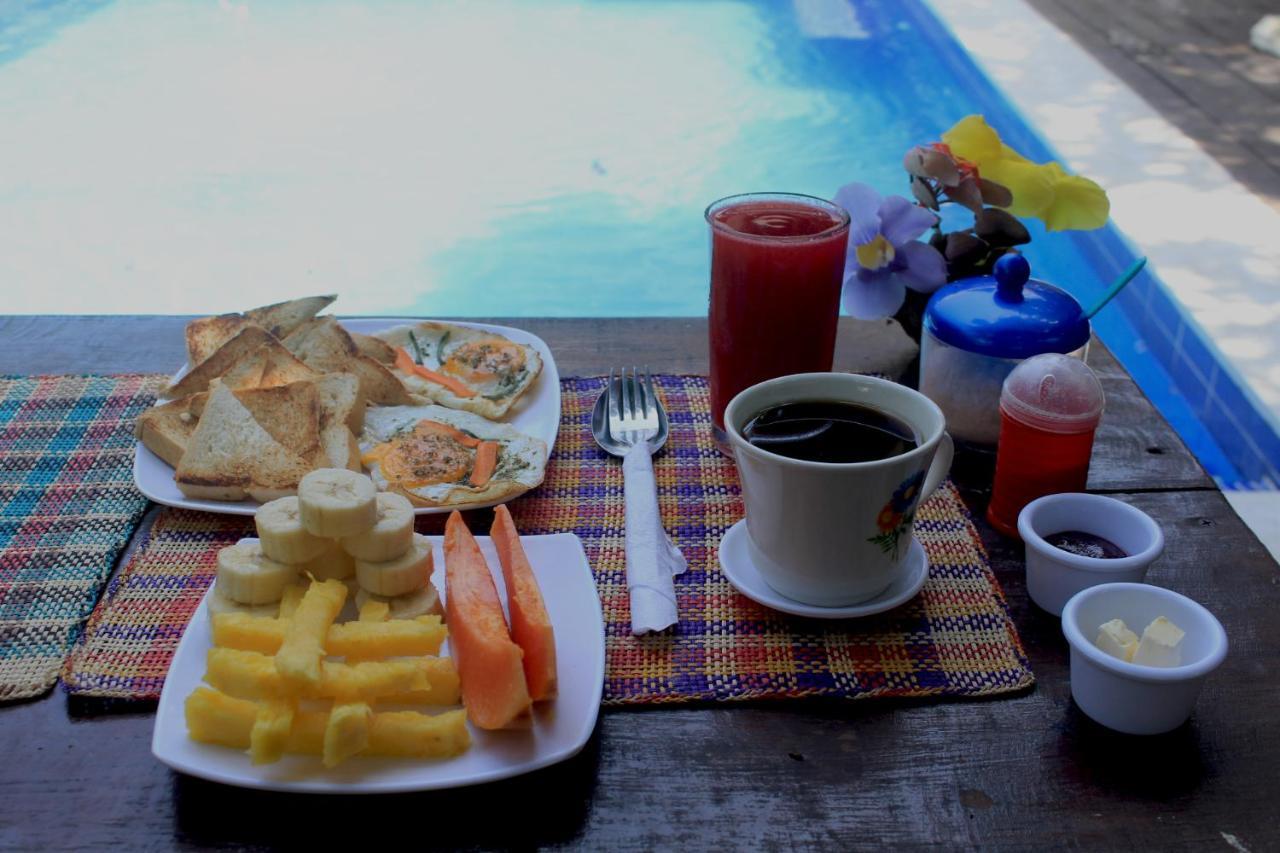 La Natura Hostel & Pool パロミノ エクステリア 写真