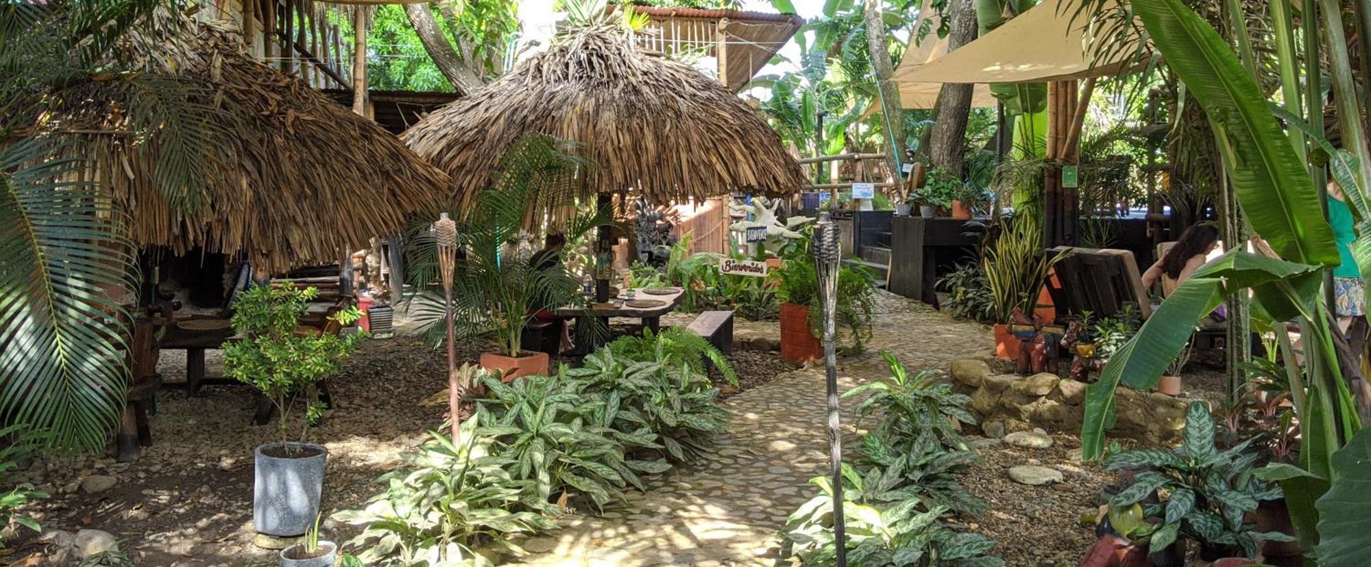 La Natura Hostel & Pool パロミノ エクステリア 写真