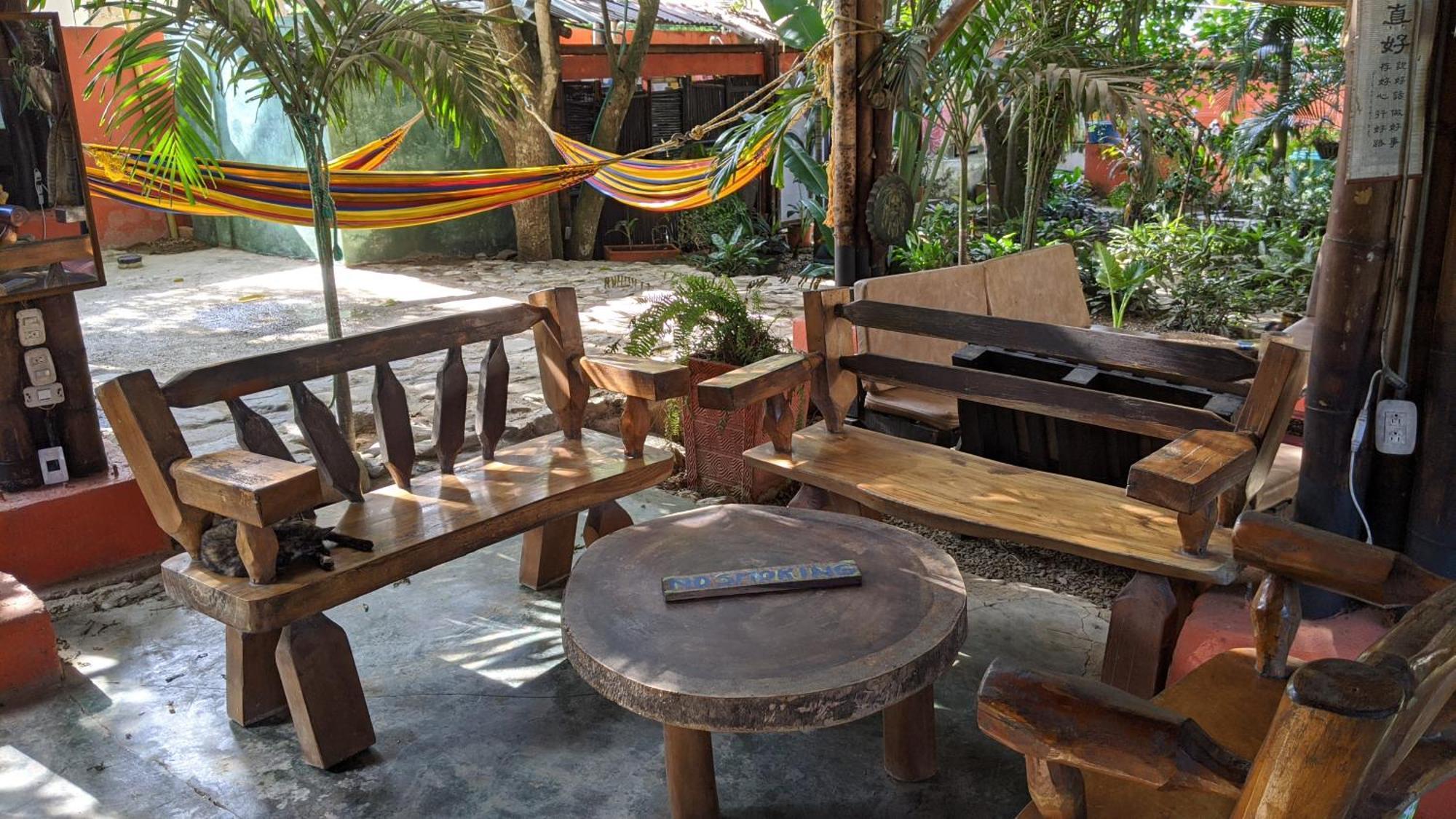 La Natura Hostel & Pool パロミノ エクステリア 写真