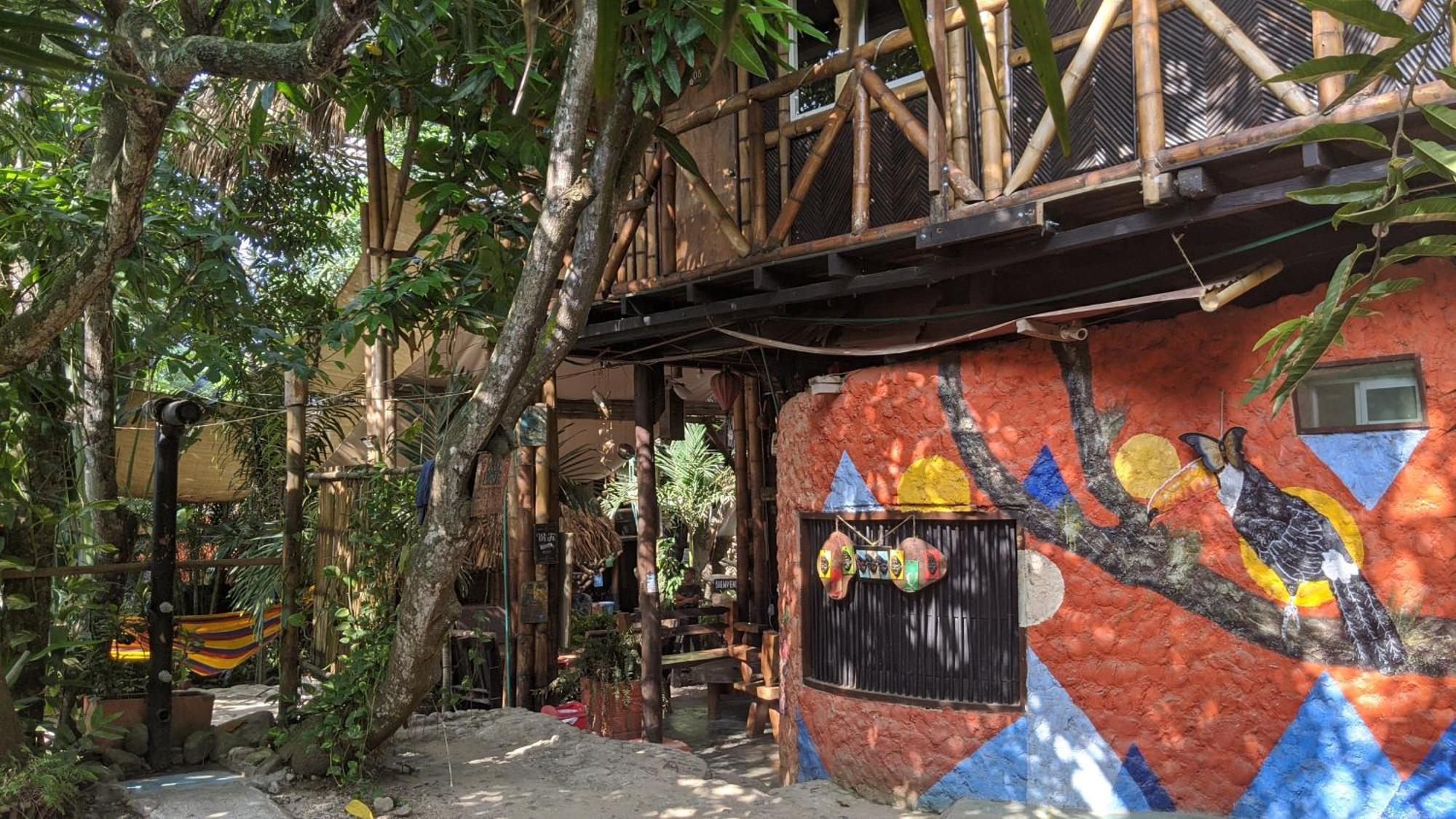 La Natura Hostel & Pool パロミノ エクステリア 写真