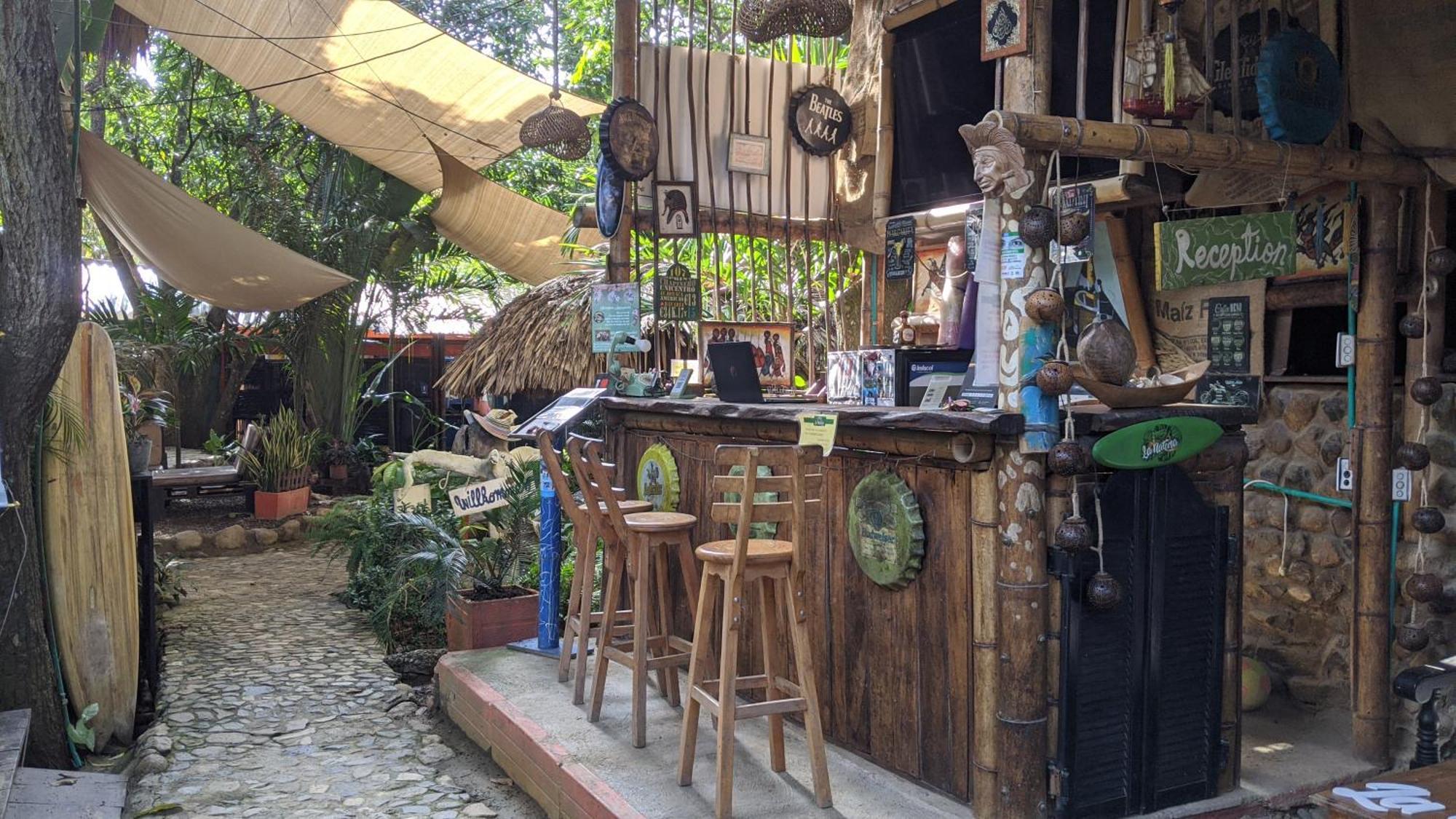 La Natura Hostel & Pool パロミノ エクステリア 写真