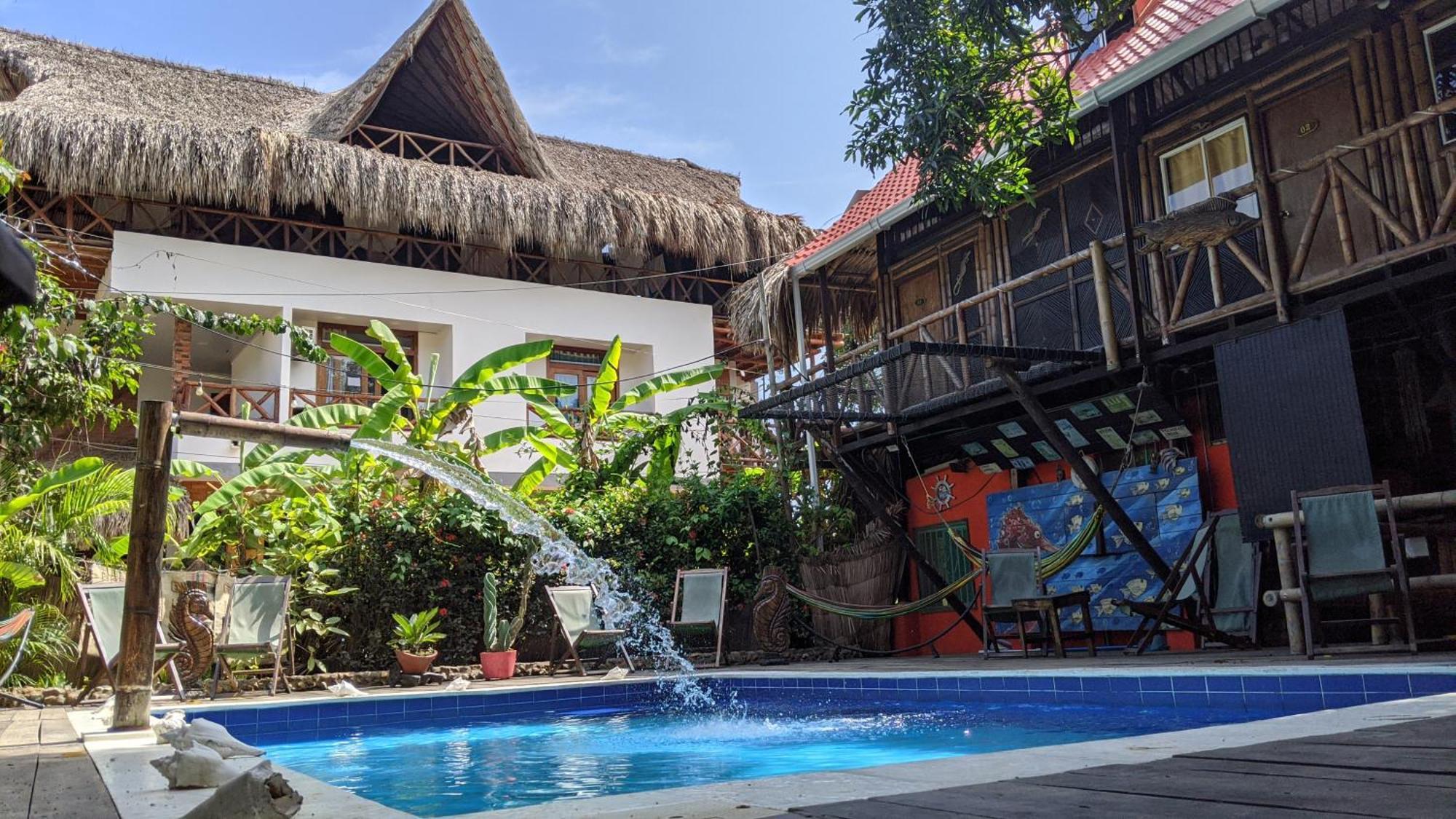 La Natura Hostel & Pool パロミノ エクステリア 写真