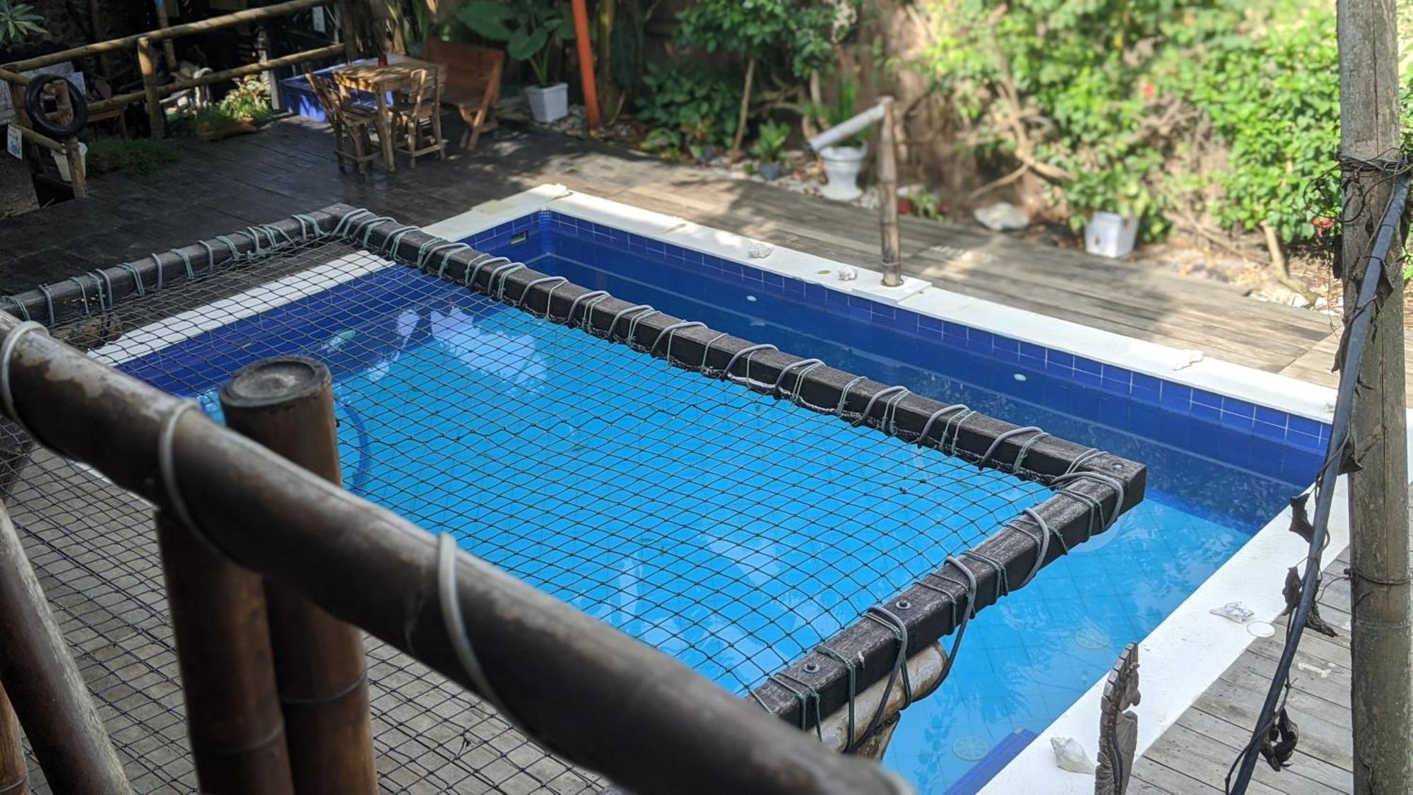 La Natura Hostel & Pool パロミノ エクステリア 写真