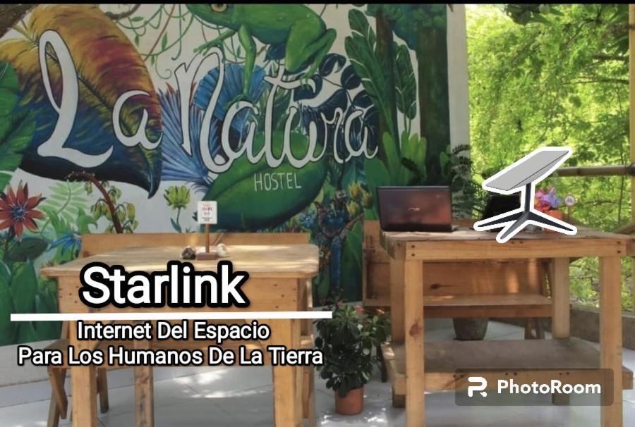 La Natura Hostel & Pool パロミノ エクステリア 写真