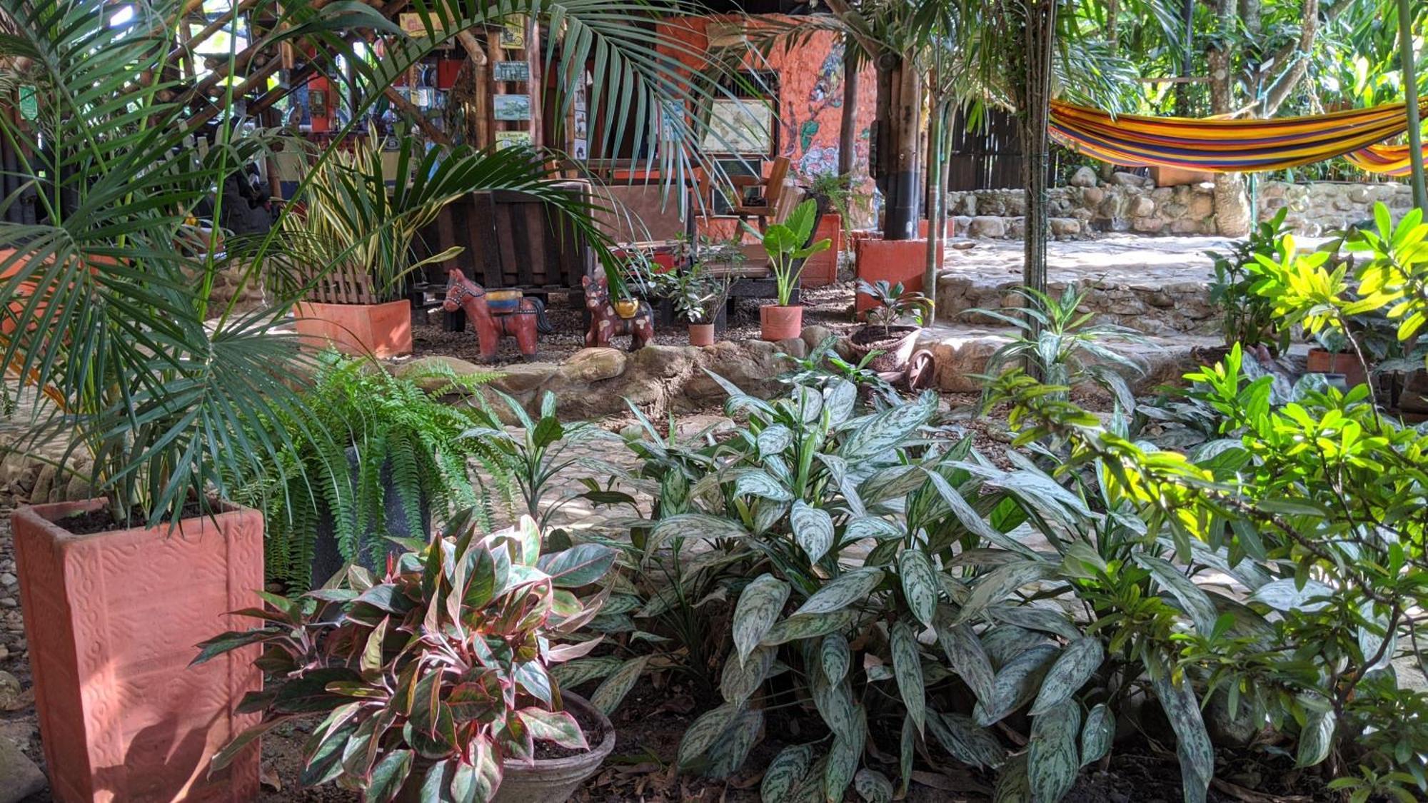 La Natura Hostel & Pool パロミノ エクステリア 写真