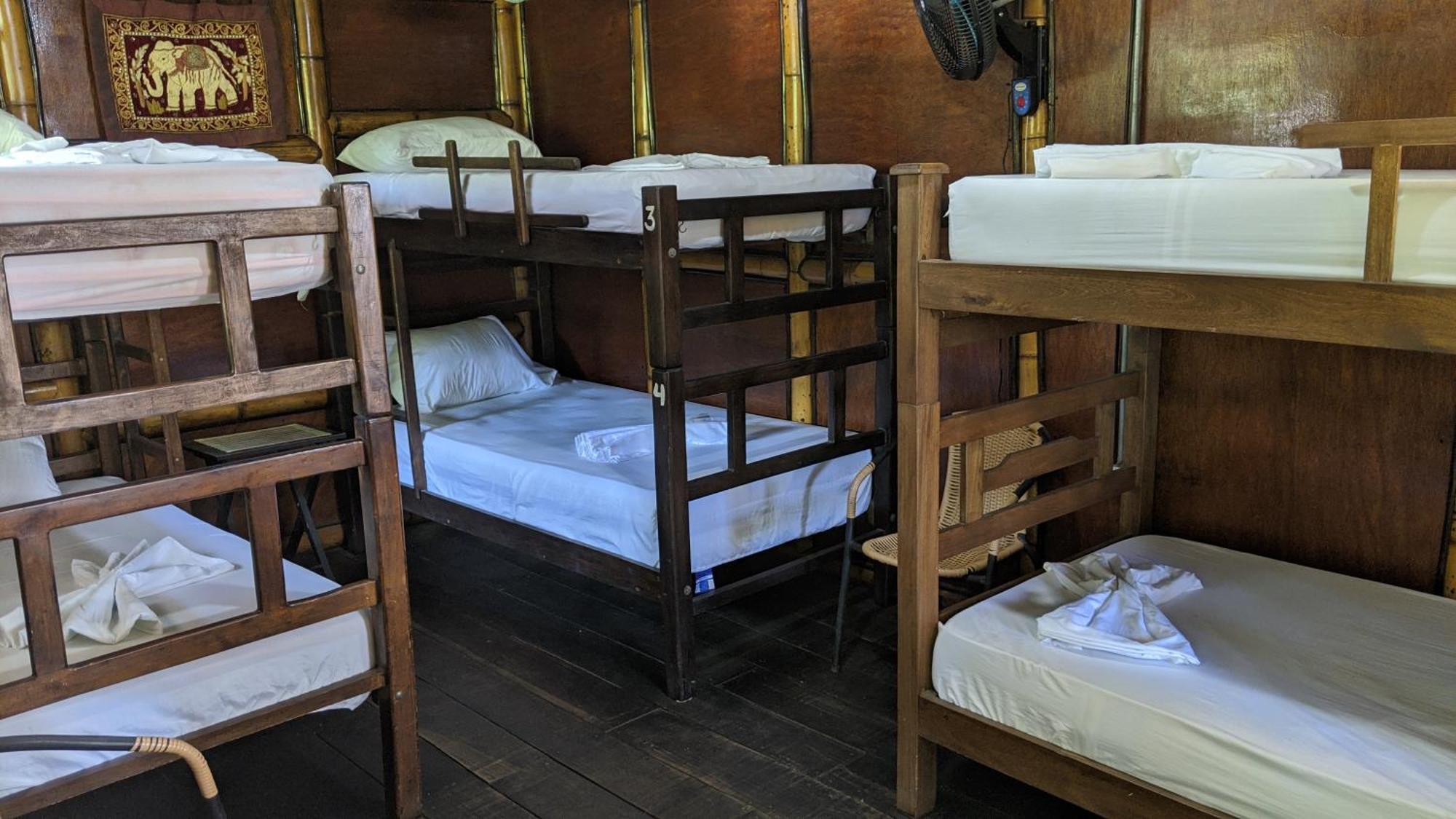 La Natura Hostel & Pool パロミノ エクステリア 写真