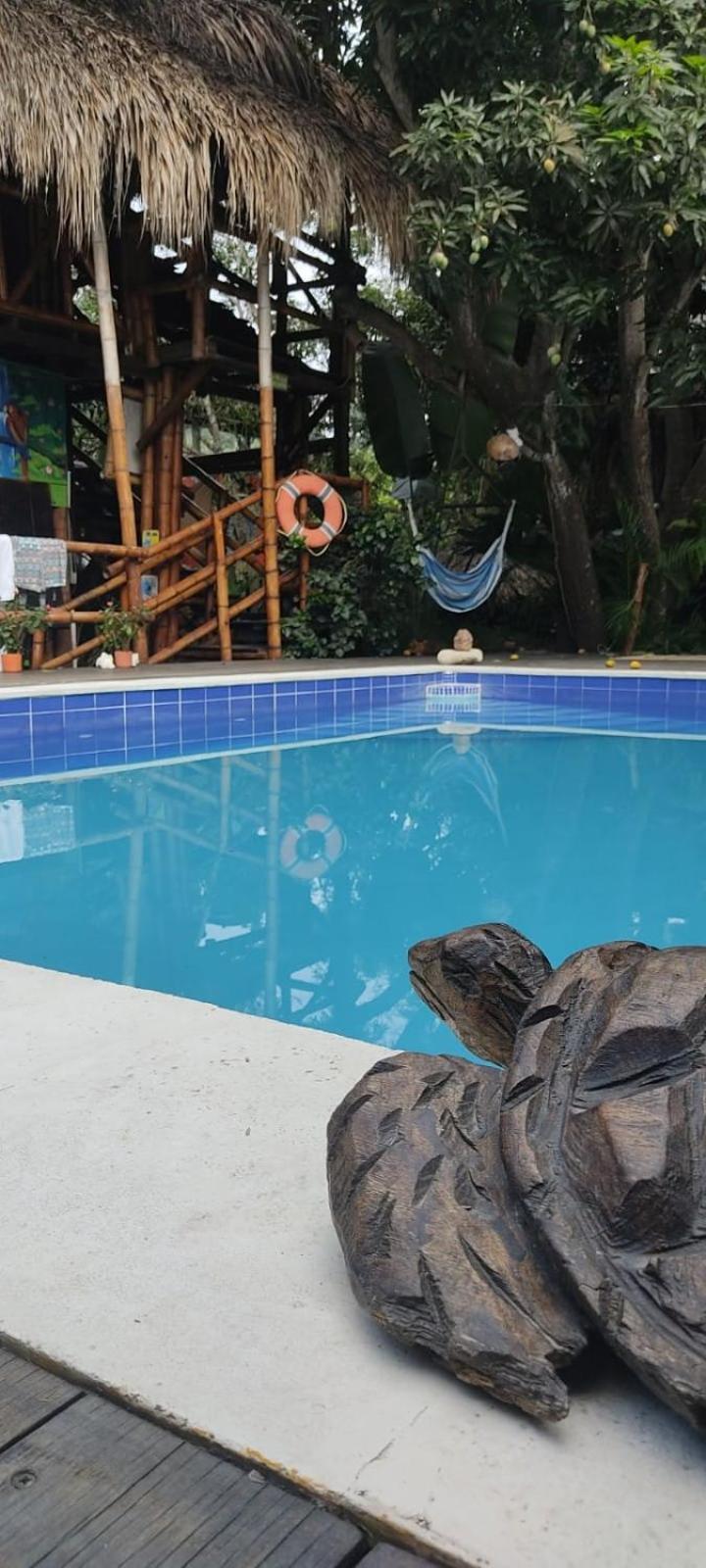 La Natura Hostel & Pool パロミノ エクステリア 写真