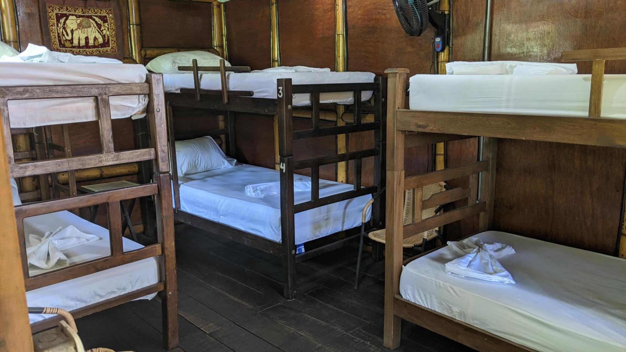 La Natura Hostel & Pool パロミノ エクステリア 写真