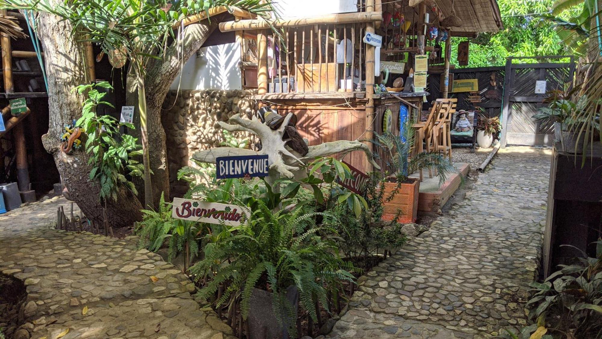 La Natura Hostel & Pool パロミノ エクステリア 写真