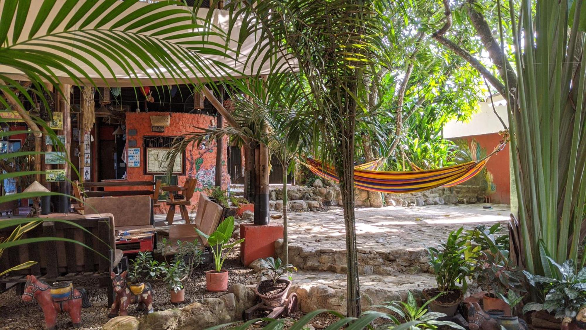 La Natura Hostel & Pool パロミノ エクステリア 写真