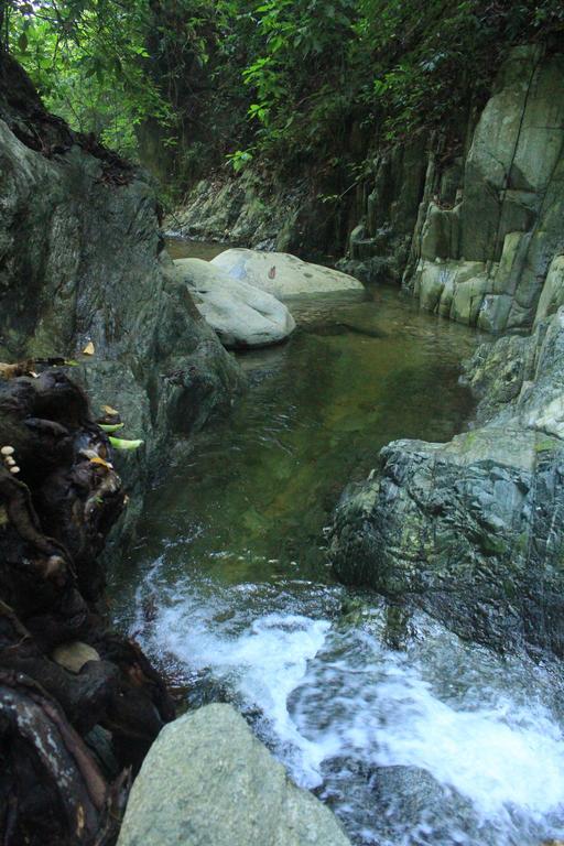 La Natura Hostel & Pool パロミノ エクステリア 写真