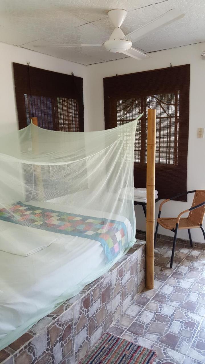 La Natura Hostel & Pool パロミノ エクステリア 写真