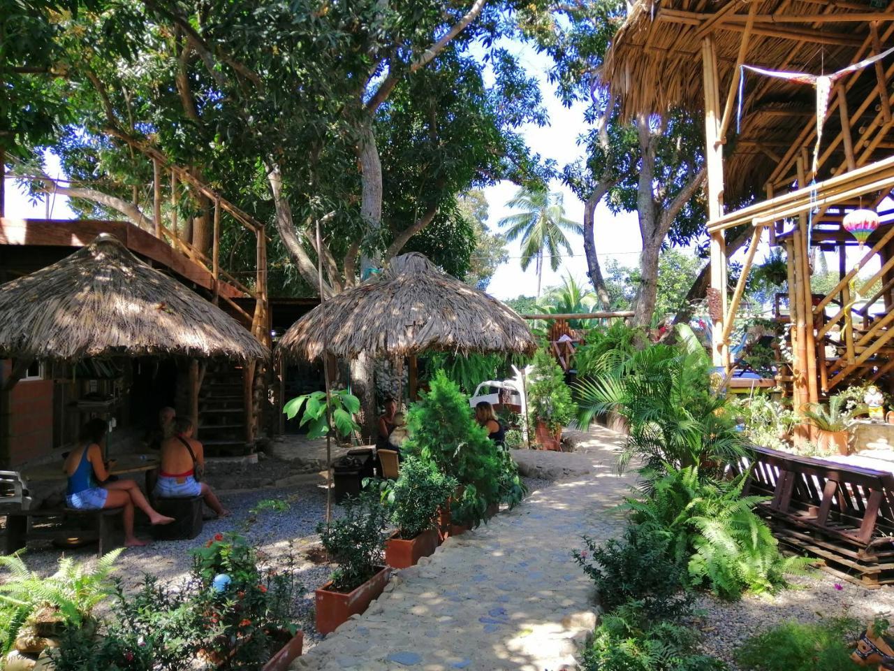 La Natura Hostel & Pool パロミノ エクステリア 写真