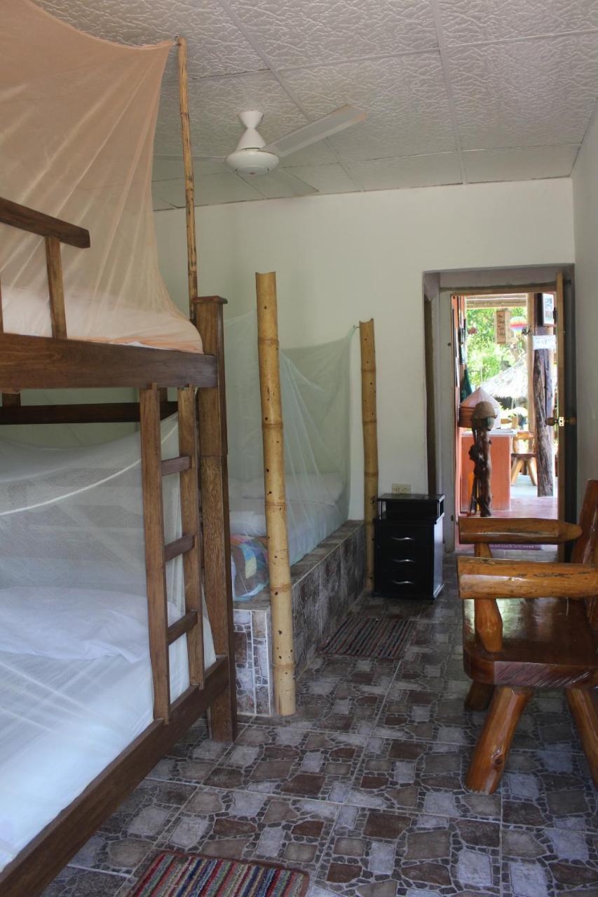 La Natura Hostel & Pool パロミノ エクステリア 写真