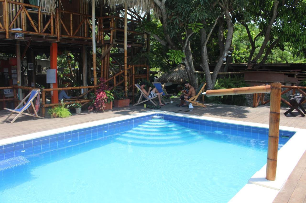 La Natura Hostel & Pool パロミノ エクステリア 写真